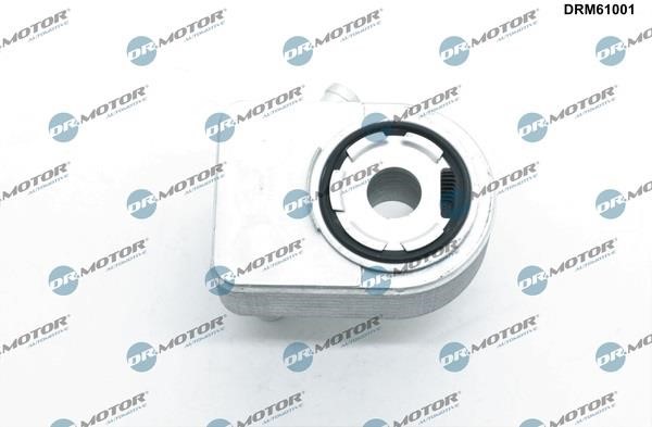 Oil Cooler, engine oil Dr.Motor DRM61001