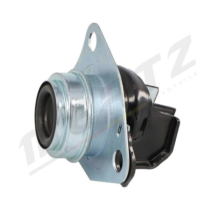 Buy MERTZ M-S4309 at a low price in United Arab Emirates!