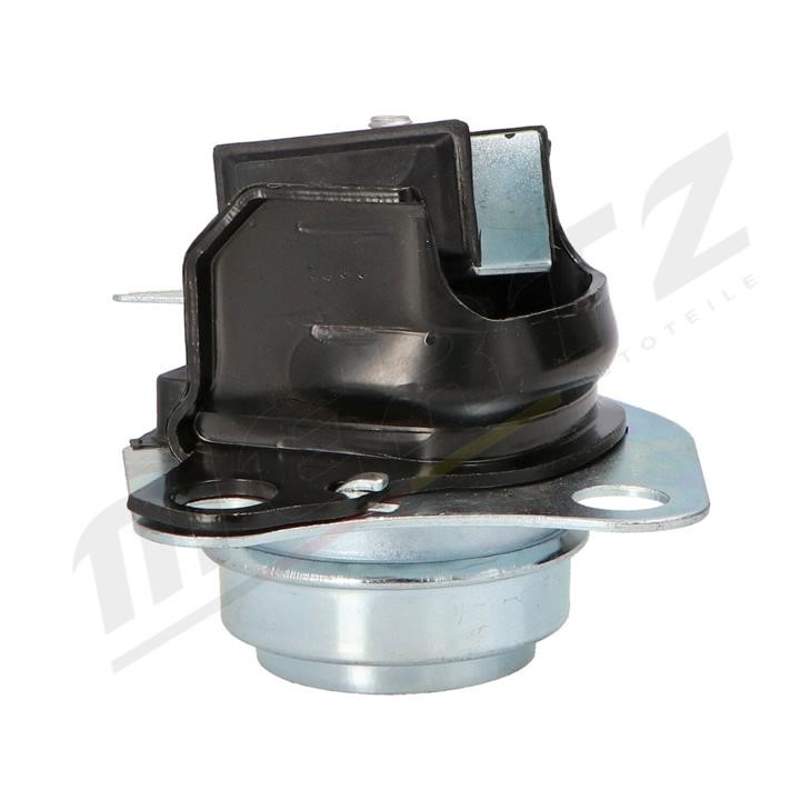 Buy MERTZ M-S4309 at a low price in United Arab Emirates!