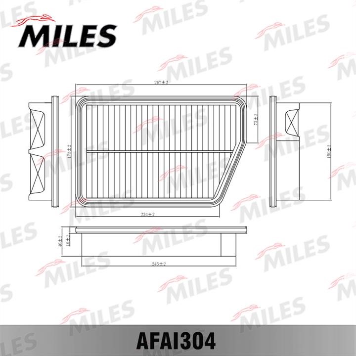 Miles AFAI304 Air filter AFAI304