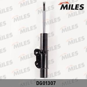 Miles DG01307 Front oil and gas suspension shock absorber DG01307