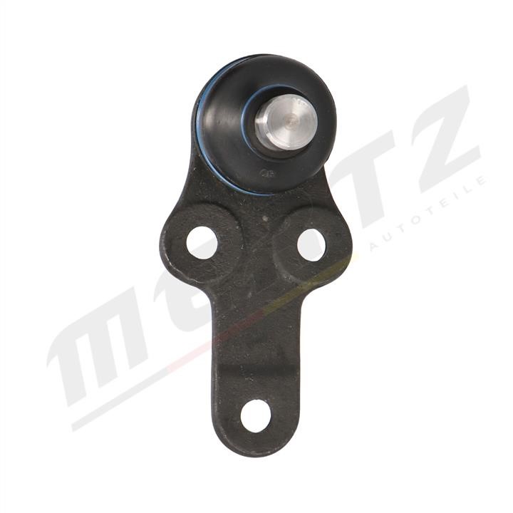 Buy MERTZ M-S0587 at a low price in United Arab Emirates!