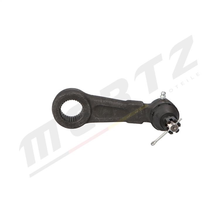 Steering Arm MERTZ M-S2304