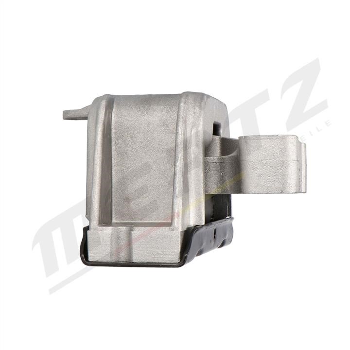 Buy MERTZ M-S4179 at a low price in United Arab Emirates!