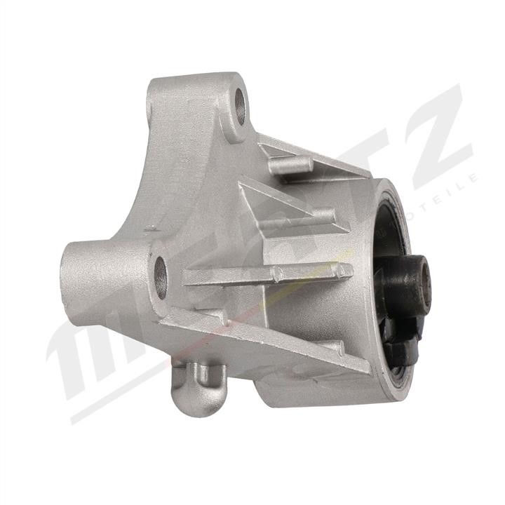 Buy MERTZ M-S4456 at a low price in United Arab Emirates!