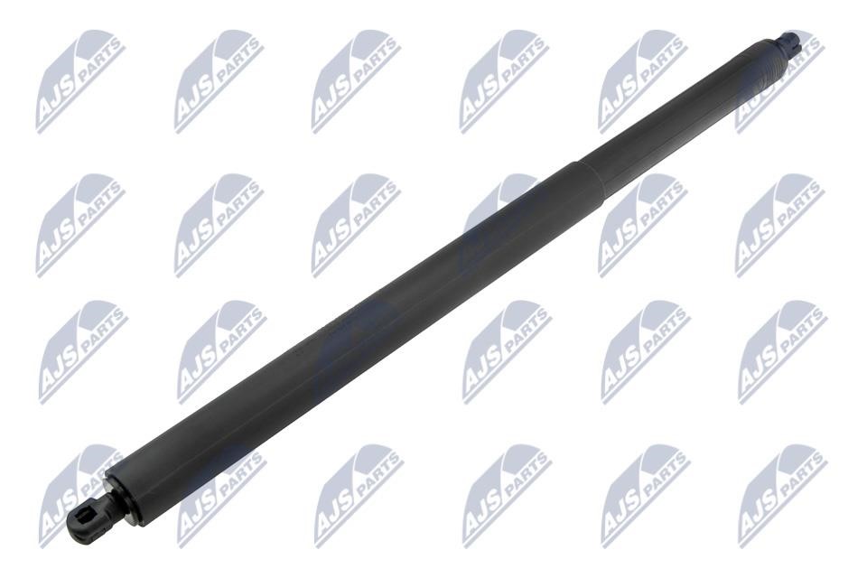 Tailgate gas struts Ford USA: AEFR079 NTY Tailgate strut