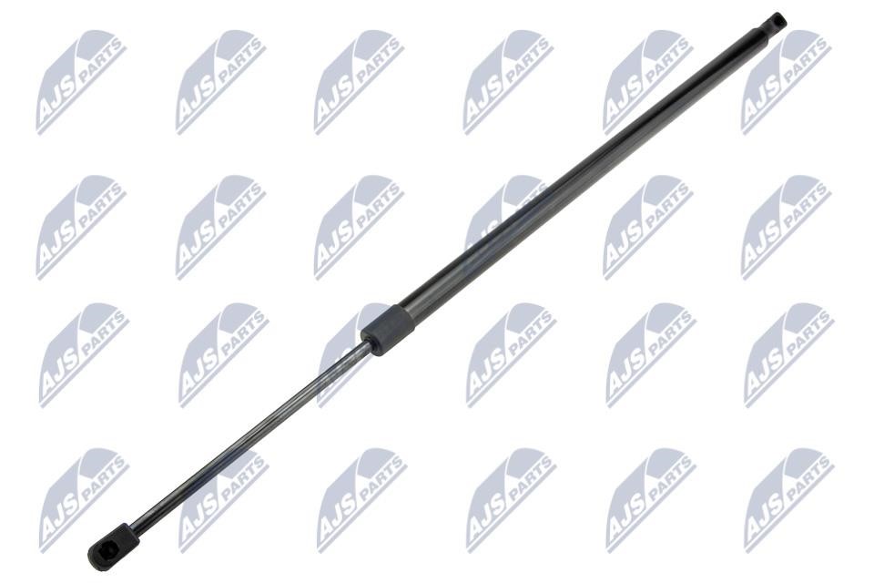 NTY AE-CH-050 Tailgate strut AECH050 AECH050 NTY Tailgate strut