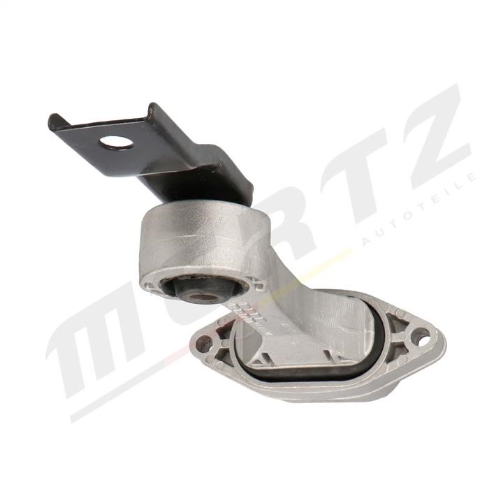 Buy MERTZ M-S4216 at a low price in United Arab Emirates!