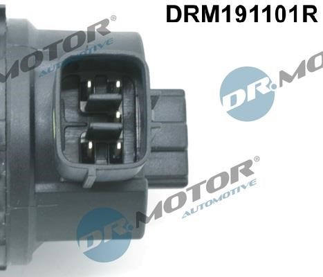 EGR Valve Dr.Motor DRM191101R
