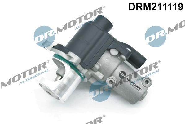 Dr.Motor DRM211119 EGR Valve DRM211119
