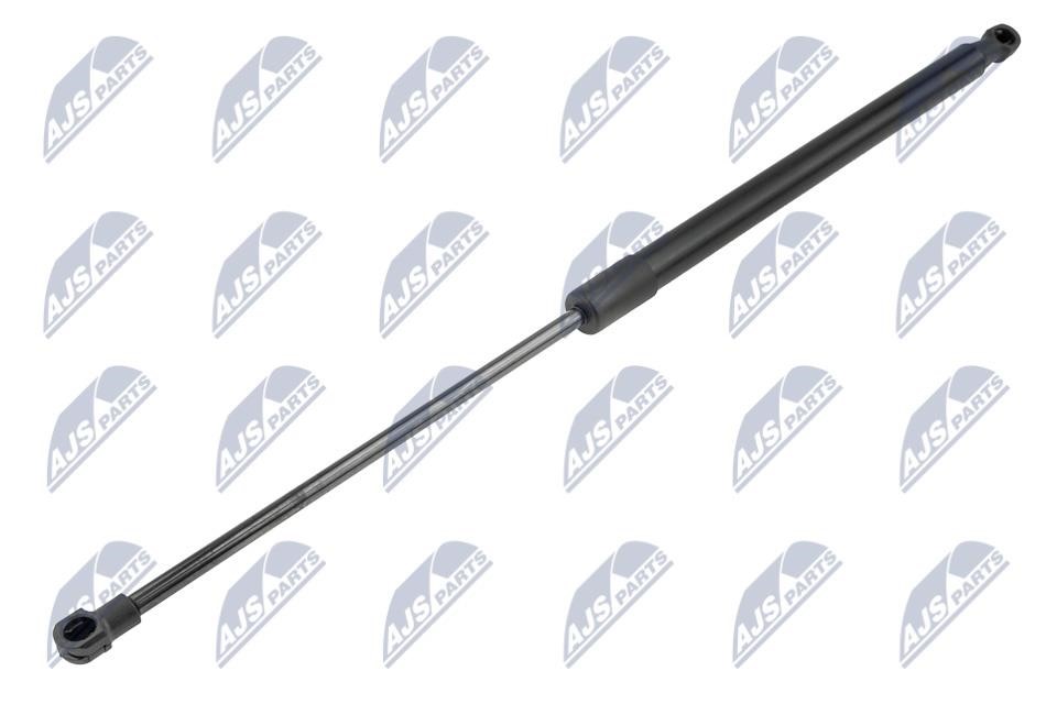 AEPE036 NTY Tailgate strut