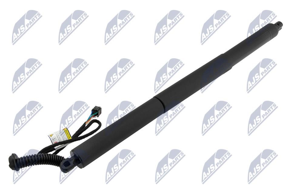 Boot gas struts Audi: AEAU093 NTY Tailgate strut