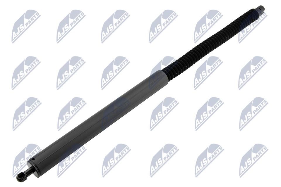 AEAU096 NTY Tailgate strut