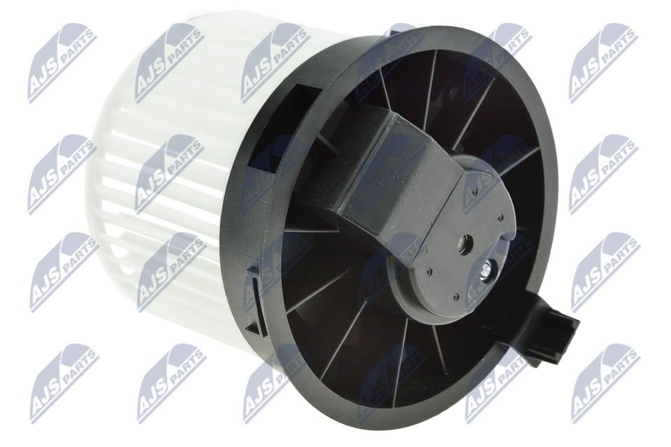 Buy NTY EWN-NS-005 at a low price in United Arab Emirates!