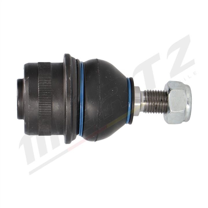 Buy MERTZ MS0041 – good price at EXIST.AE!