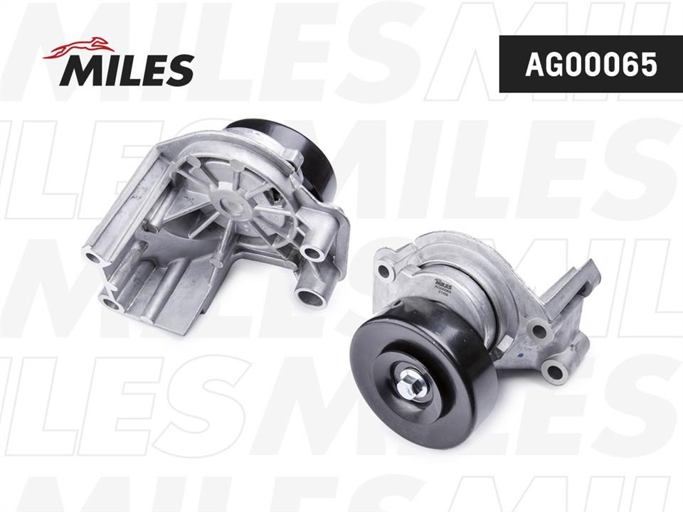 Miles AG00065 Idler roller AG00065