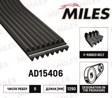 Miles AD15406 V-Ribbed Belt AD15406