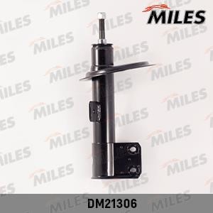 Miles DM21306 Oil, suspension, front right DM21306