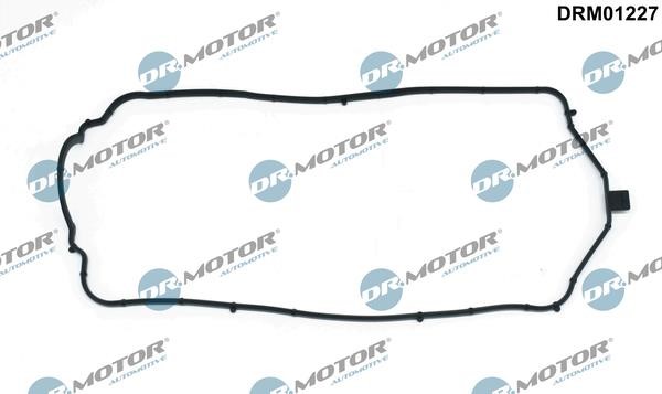 Rocker cover seal Renault Wind: DRM01227 Dr.Motor Rocker cover gasket