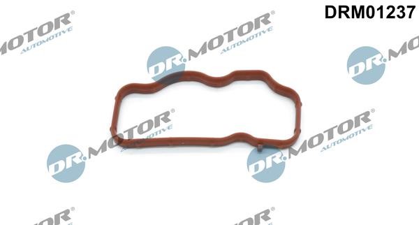 DRM01237 Dr.Motor Intake manifold gasket