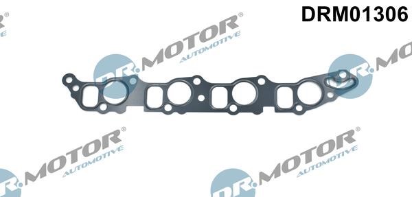 Engine intake manifold gasket Fiat Stilo: DRM01306 Dr.Motor Intake manifold gasket