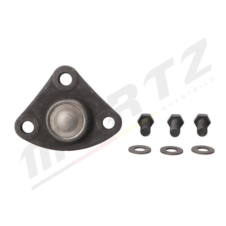 Buy MERTZ M-S0409 at a low price in United Arab Emirates!
