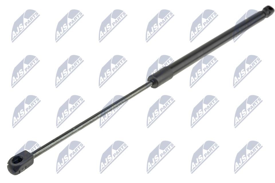 NTY AE-CH-038 Tailgate strut AECH038 AECH038 NTY Tailgate strut