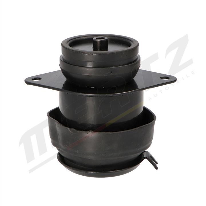 Buy MERTZ M-S4374 at a low price in United Arab Emirates!
