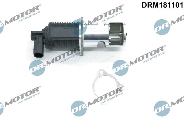 Dr.Motor DRM181101 EGR Valve DRM181101