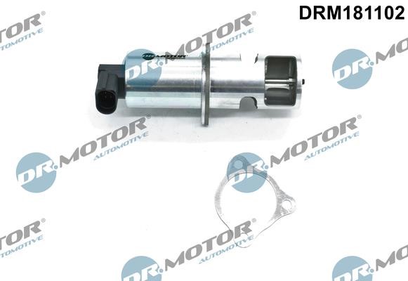 Dr.Motor DRM181102 EGR Valve DRM181102