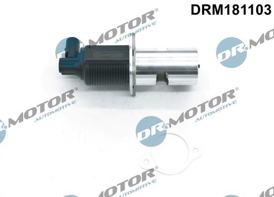 Dr.Motor DRM181103 EGR Valve DRM181103