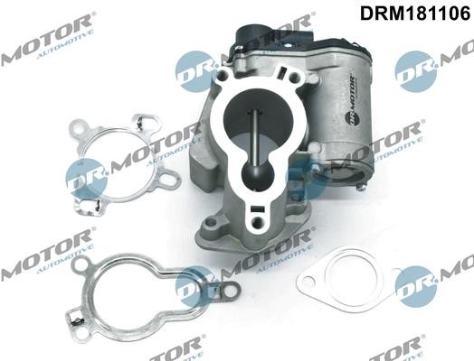 Dr.Motor DRM181106 EGR Valve DRM181106