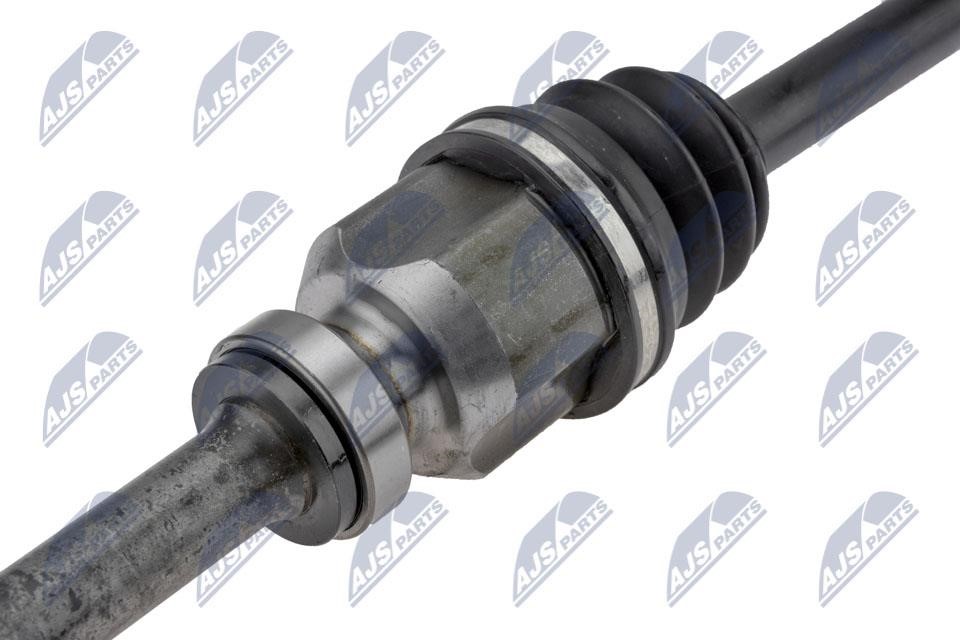 Buy NTY NPW-CT-091 at a low price in United Arab Emirates!