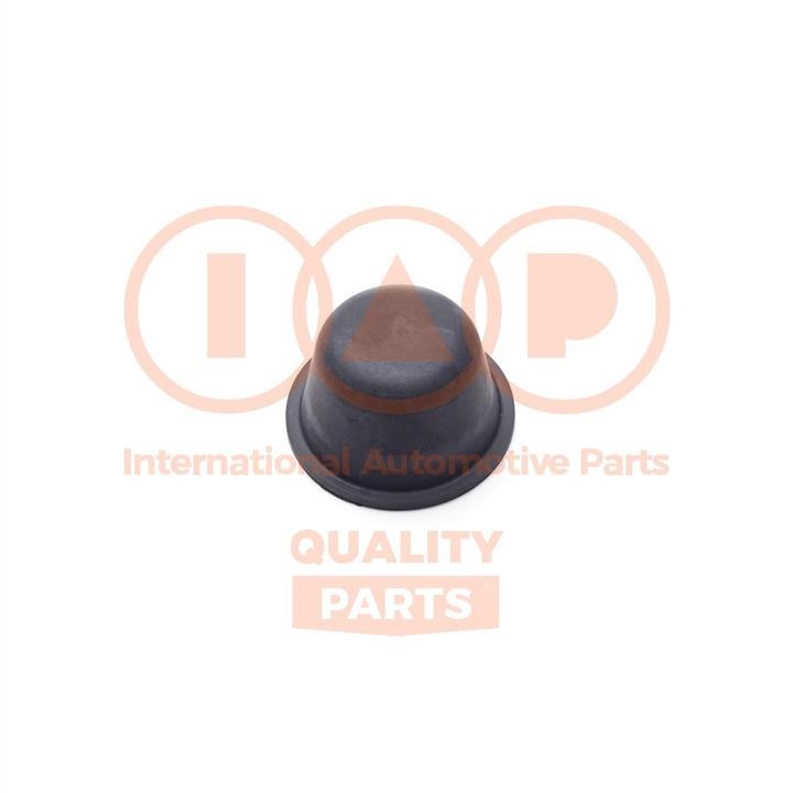 IAP 404-14034 Shaft Seal, wheel hub 40414034