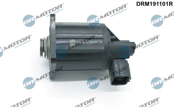 DRM191101R Dr.Motor EGR Valve