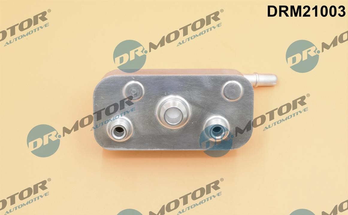 Buy Dr.Motor DRM21003 at a low price in United Arab Emirates!
