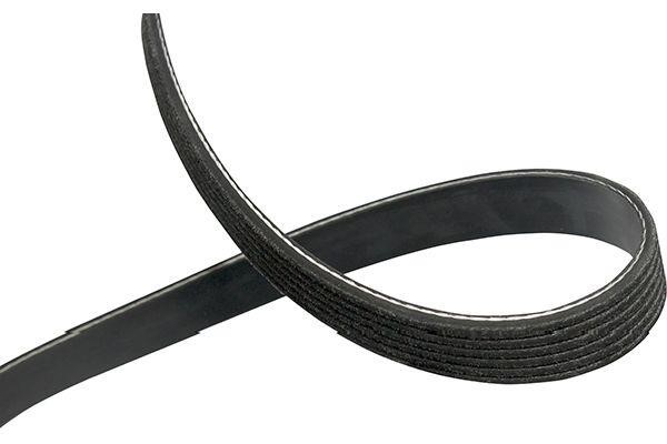 Kavo parts DMV-1012 V-ribbed belt 6PK884 DMV1012