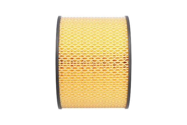 Buy AMC Filters TA-162B at a low price in United Arab Emirates!