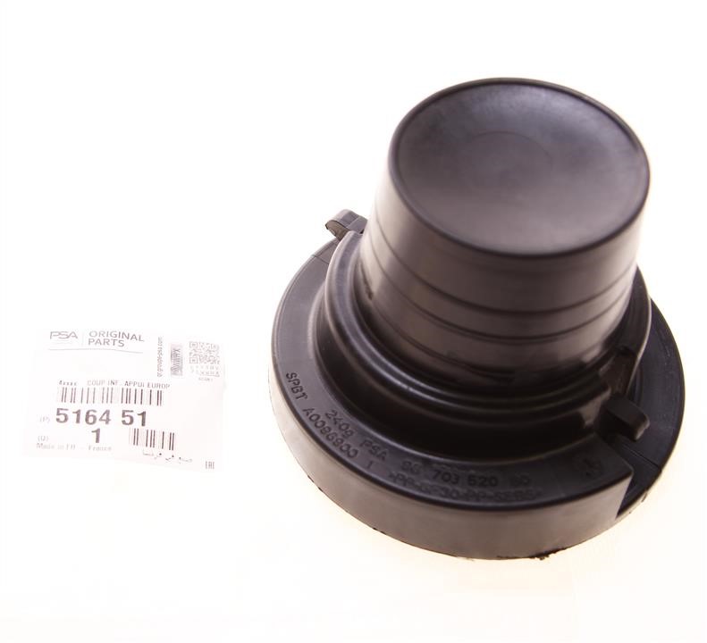 Buy Citroen/Peugeot 5164 51 at a low price in United Arab Emirates!