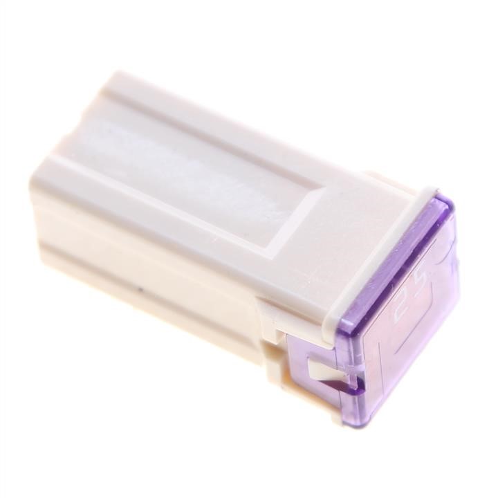 13171756 General Motors Fuse