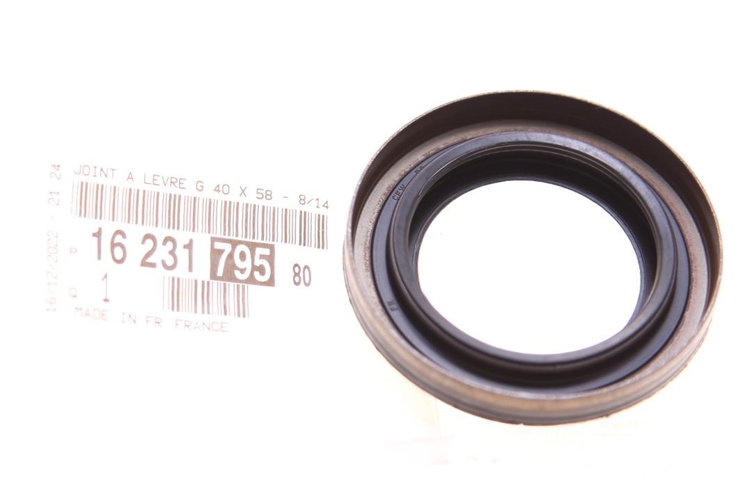 Buy Citroen/Peugeot 16 231 795 80 at a low price in United Arab Emirates!