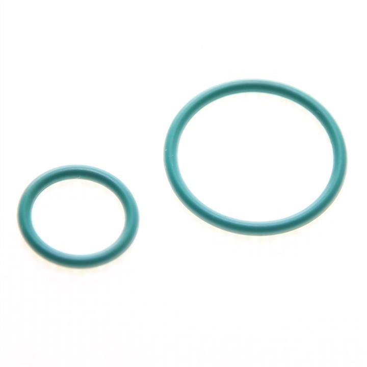 193347 Citroen/Peugeot O-rings, set