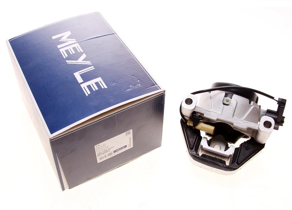 Buy Meyle 100 199 0317 at a low price in United Arab Emirates!