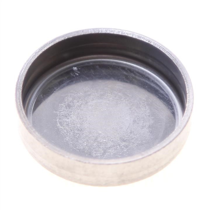 1102100QAB Nissan Cylinder head plug