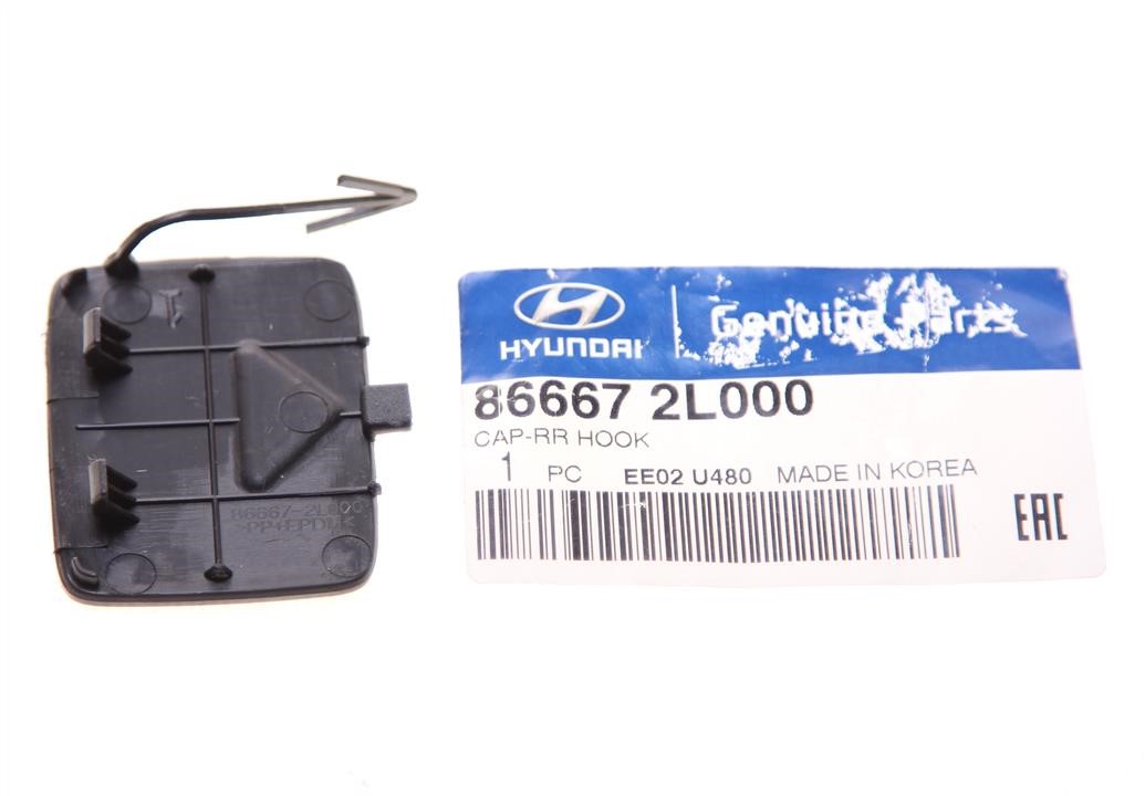 Buy Hyundai&#x2F;Kia 86667 2L000 at a low price in United Arab Emirates!