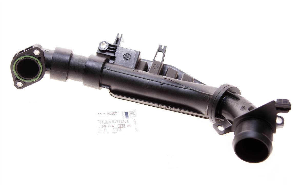 9677681880 Citroen/Peugeot Pipe branch