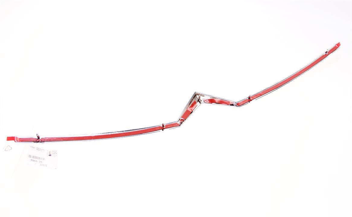 796635 Citroen/Peugeot Molding