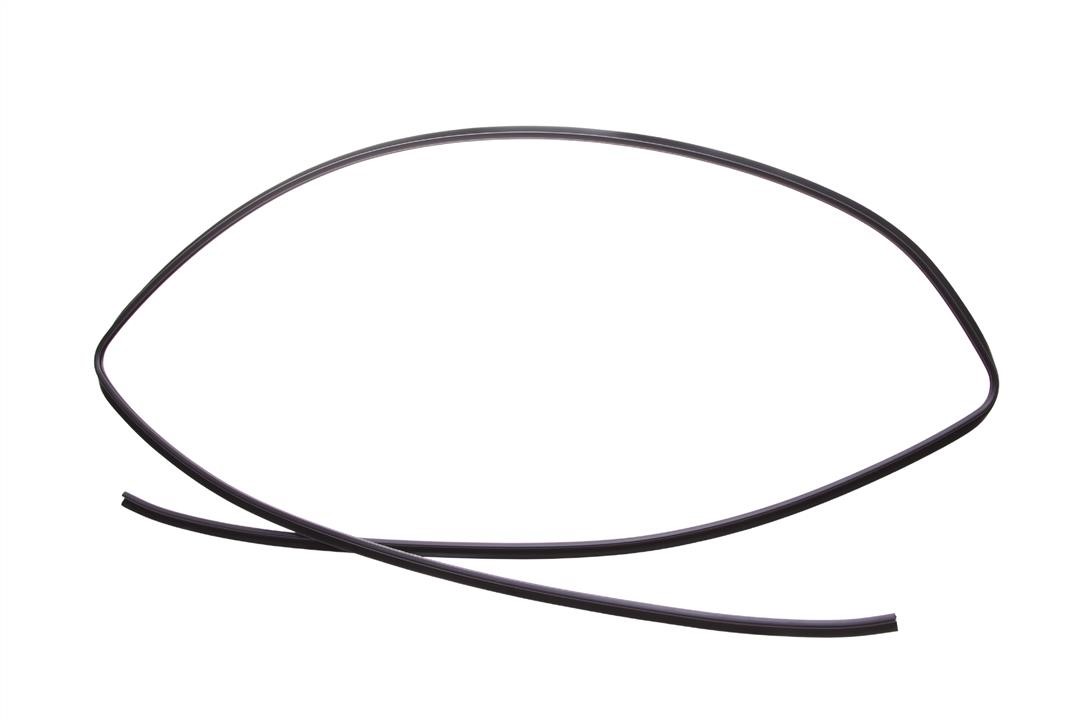 1388614 Ford Molding