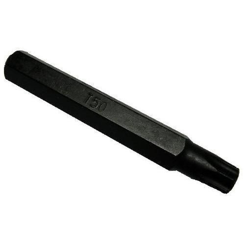 0437T50 Hans Bat