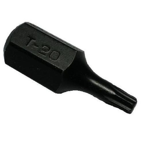 0433T20 Hans Bat